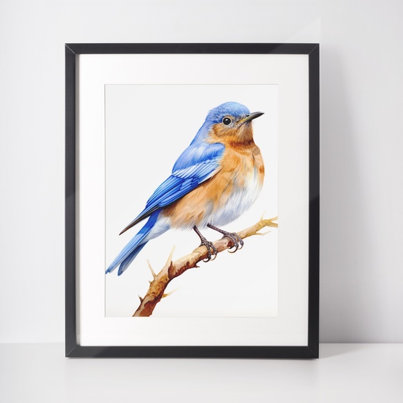 Watercolor Eastern Bluebird Wall Art Illustration Print Poster Unframed - Picture 3 of 5